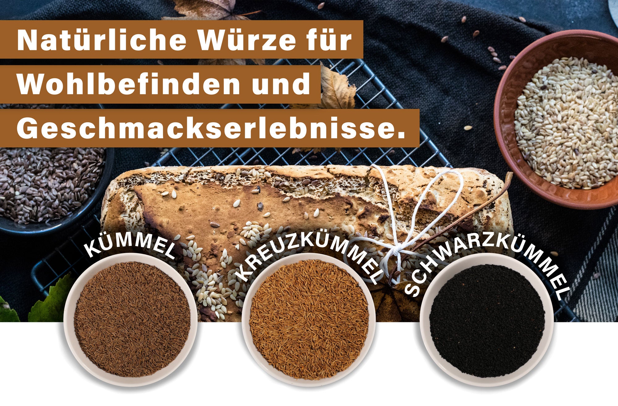 Kraut der Woche Nr. 15 - HerbsnRoots-Kümmel: Natürliche Würze für Wohlbefinden und Geschmackserlebnisse.