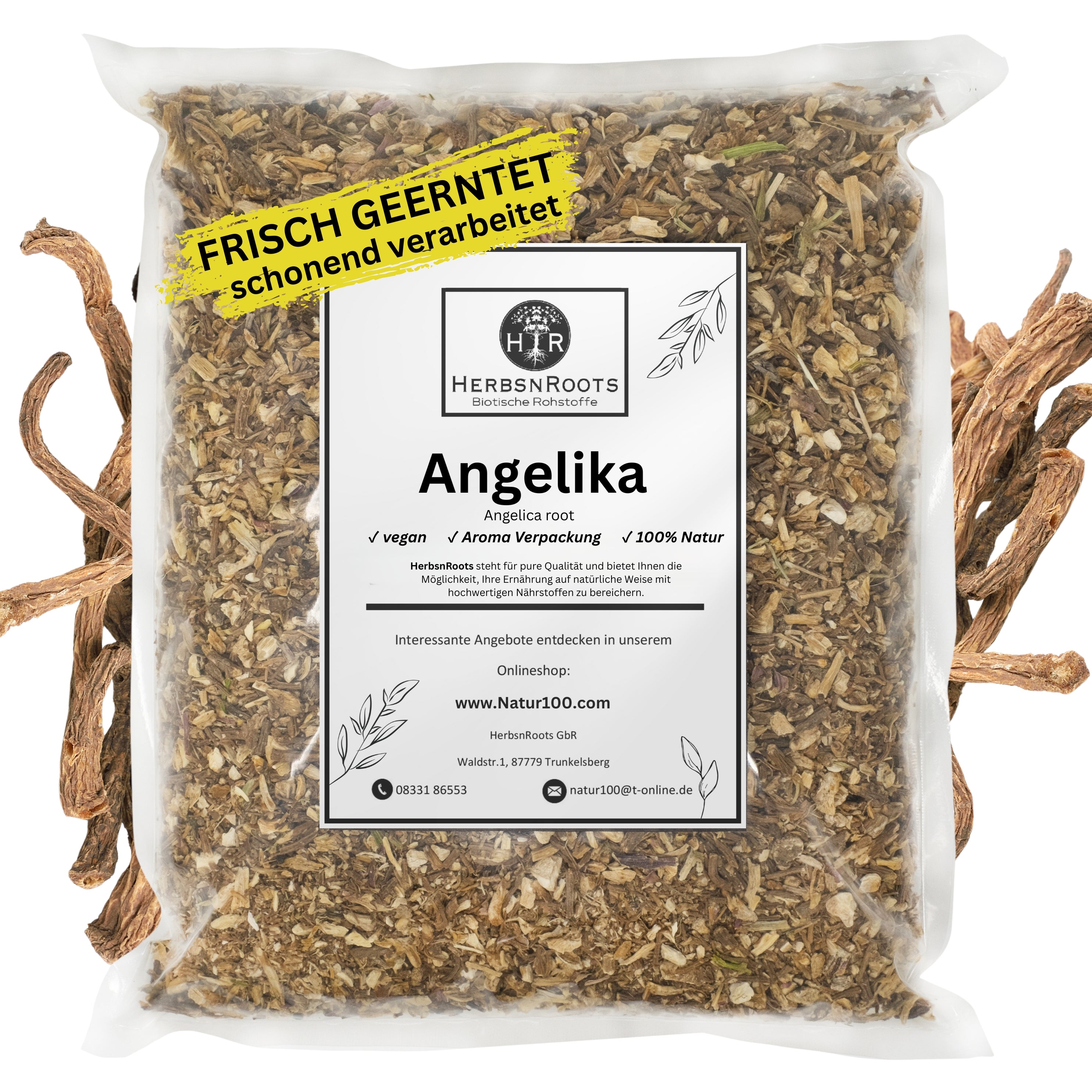 Angelikawurzel, Engelwurz