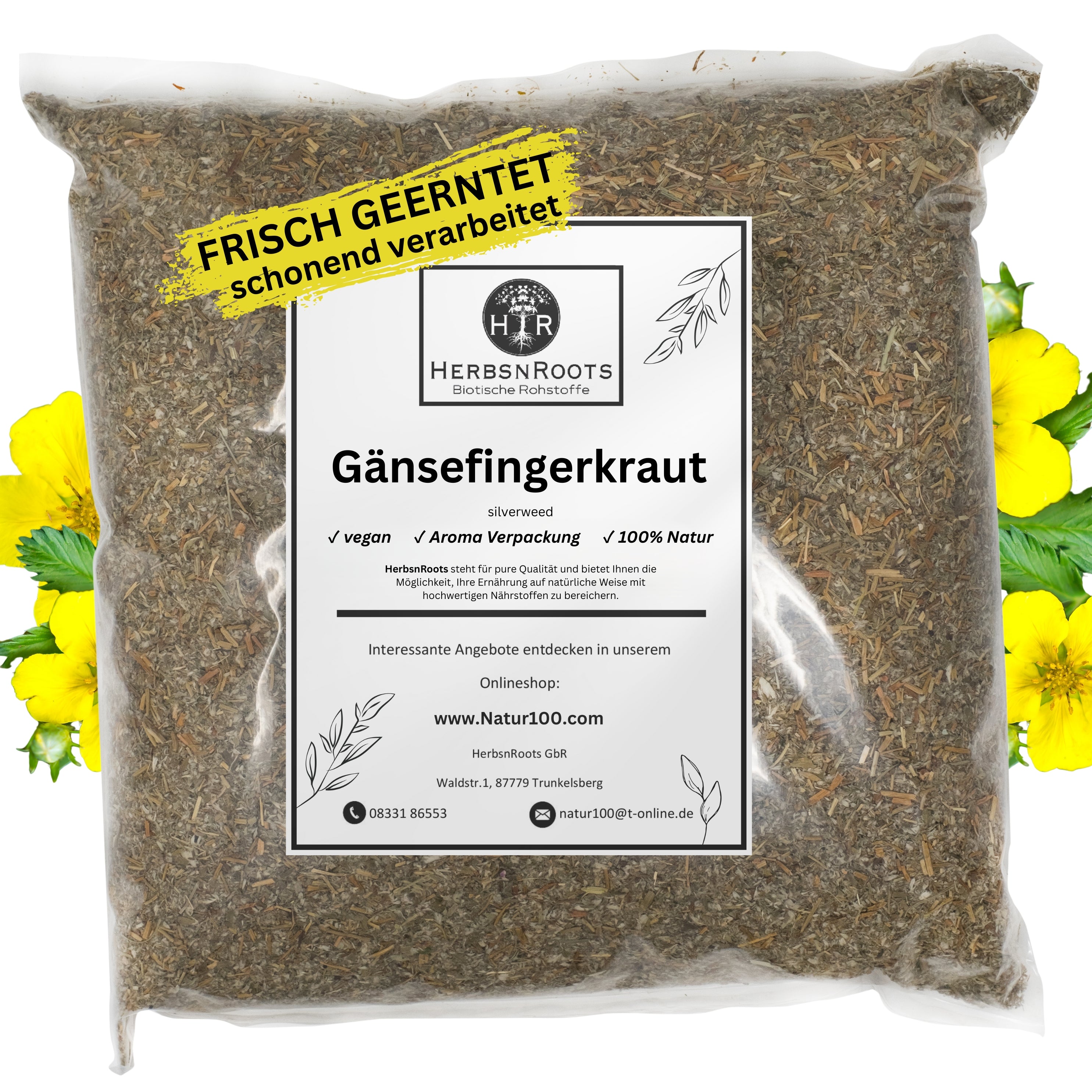 Gänsefingerkraut/ Krampfkraut