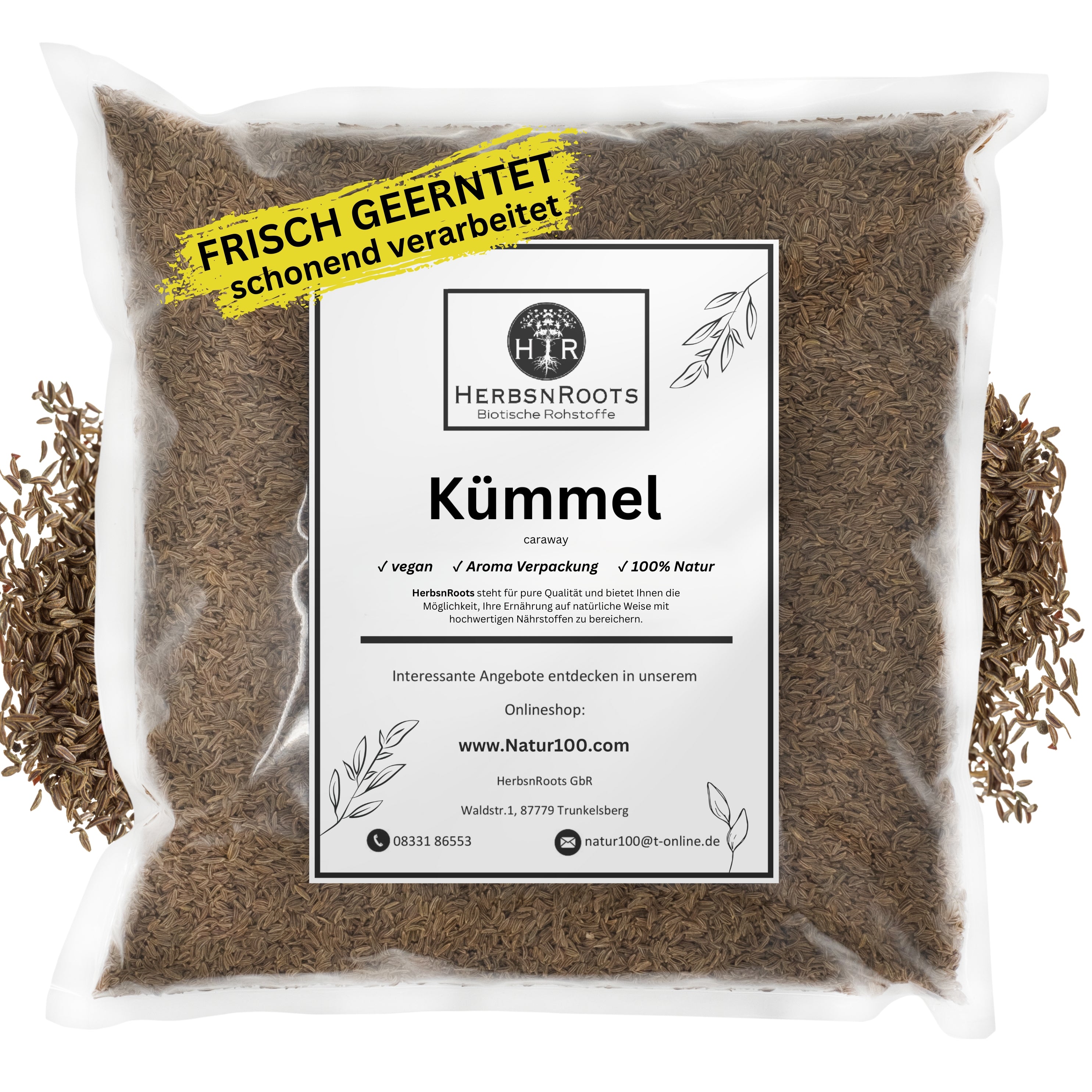 Kümmel