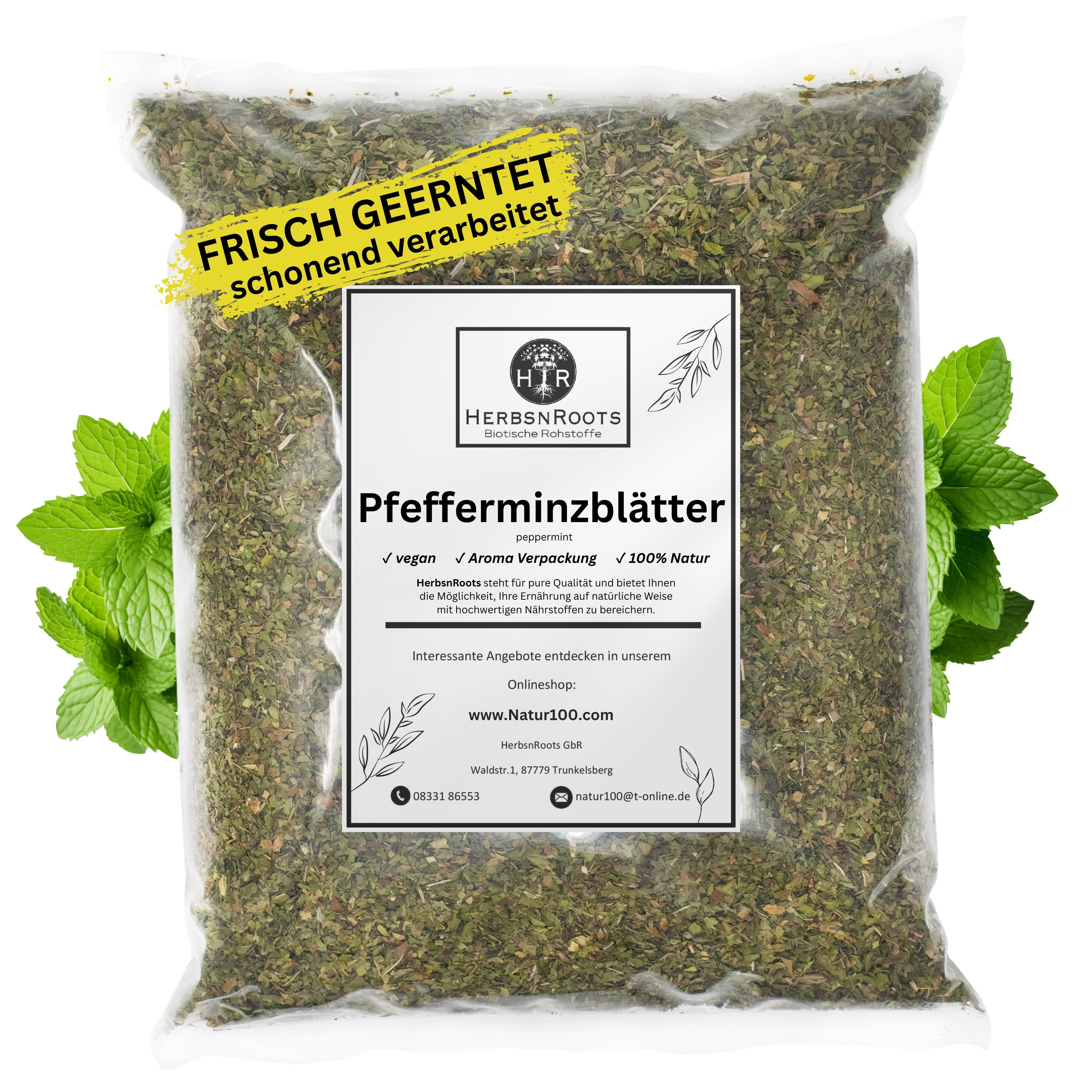 Pfefferminzblätter Kräutertee