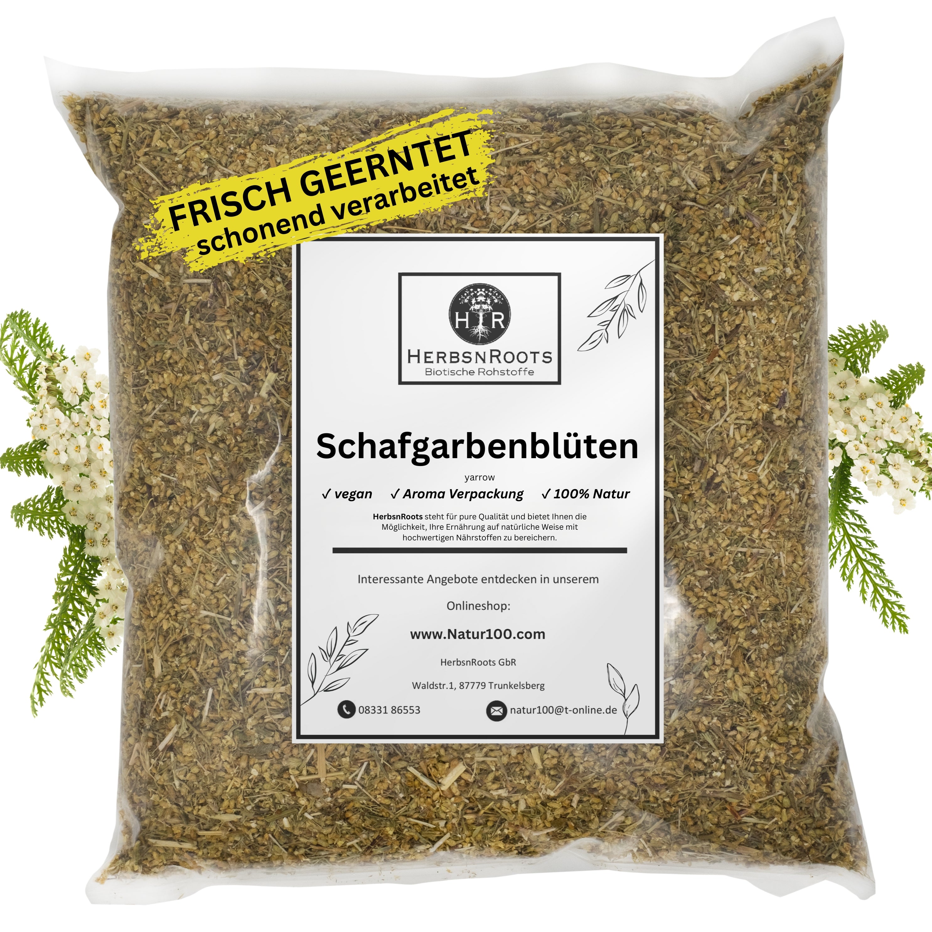 Schafgarbenblüten
