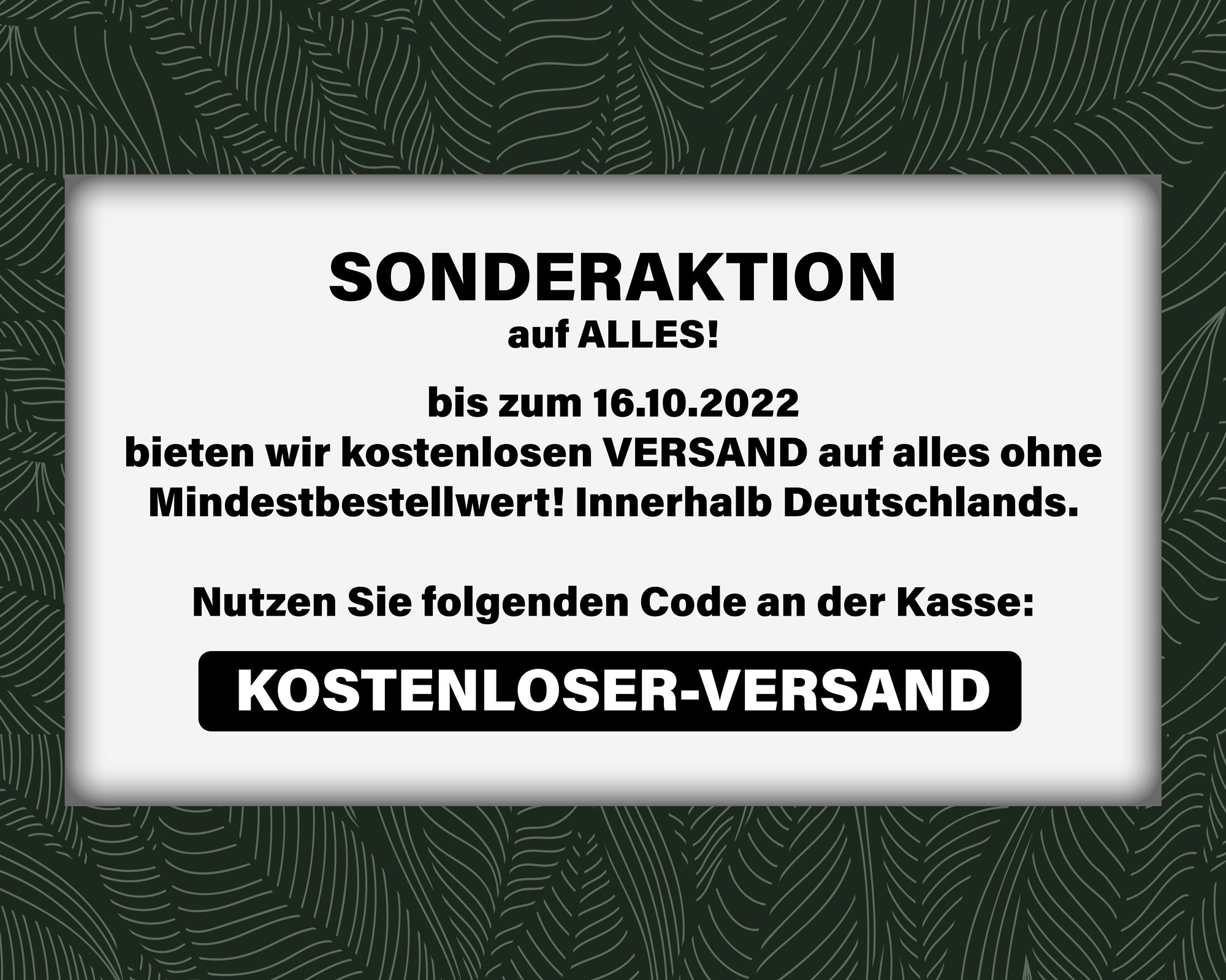 GRATIS Versand auf alles! Nur für 48 Stunden!