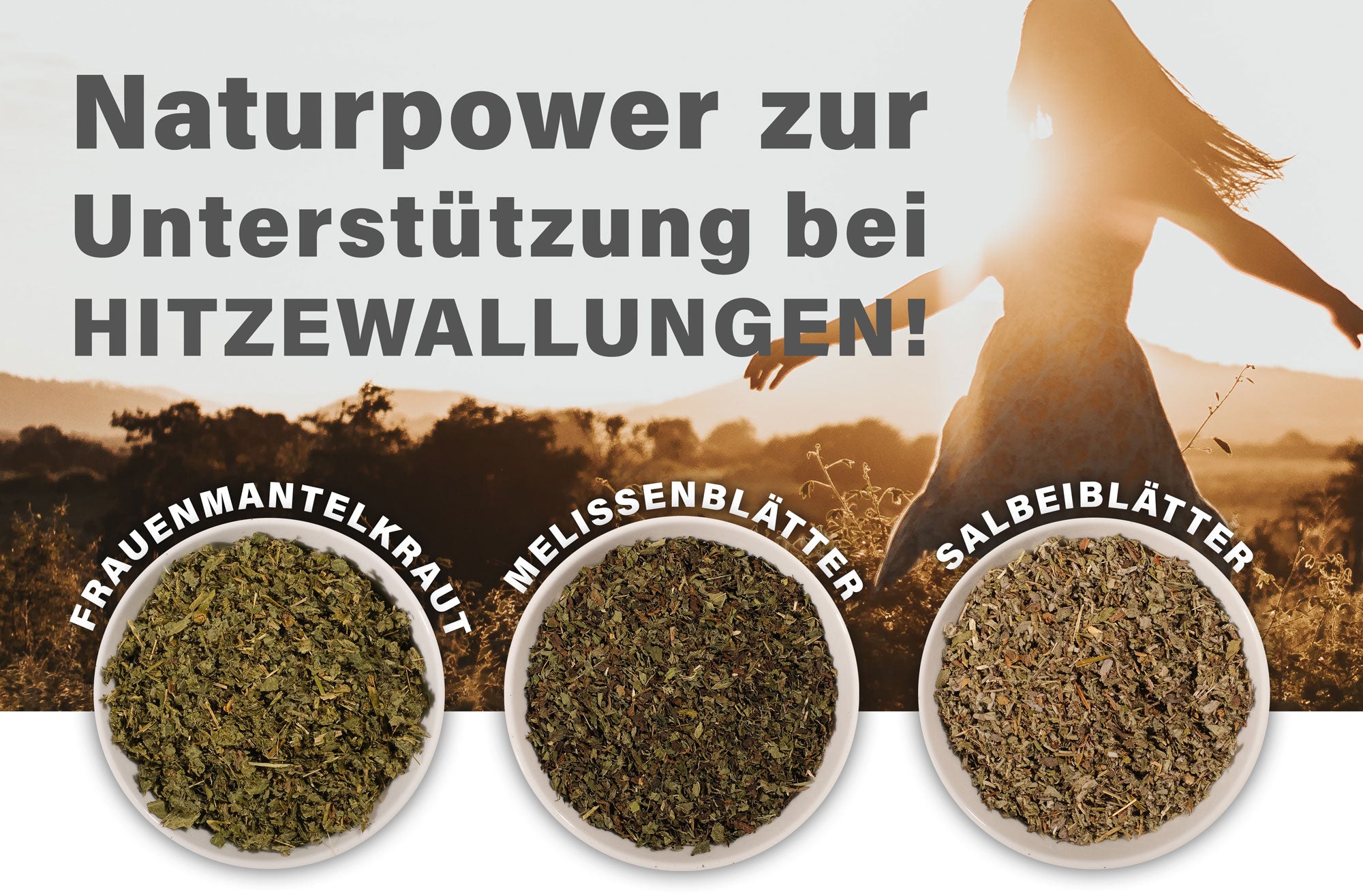 Kräuter der Woche Nr. 4 - Naturpower zur Unterstützung bei Hitzewallungen!