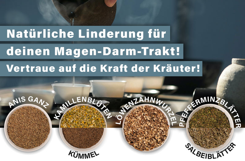 Kräuter der Woche Nr. 10 - Kräuter als natürliche Unterstützung für einen starken Magen & Darm-Trakt!
