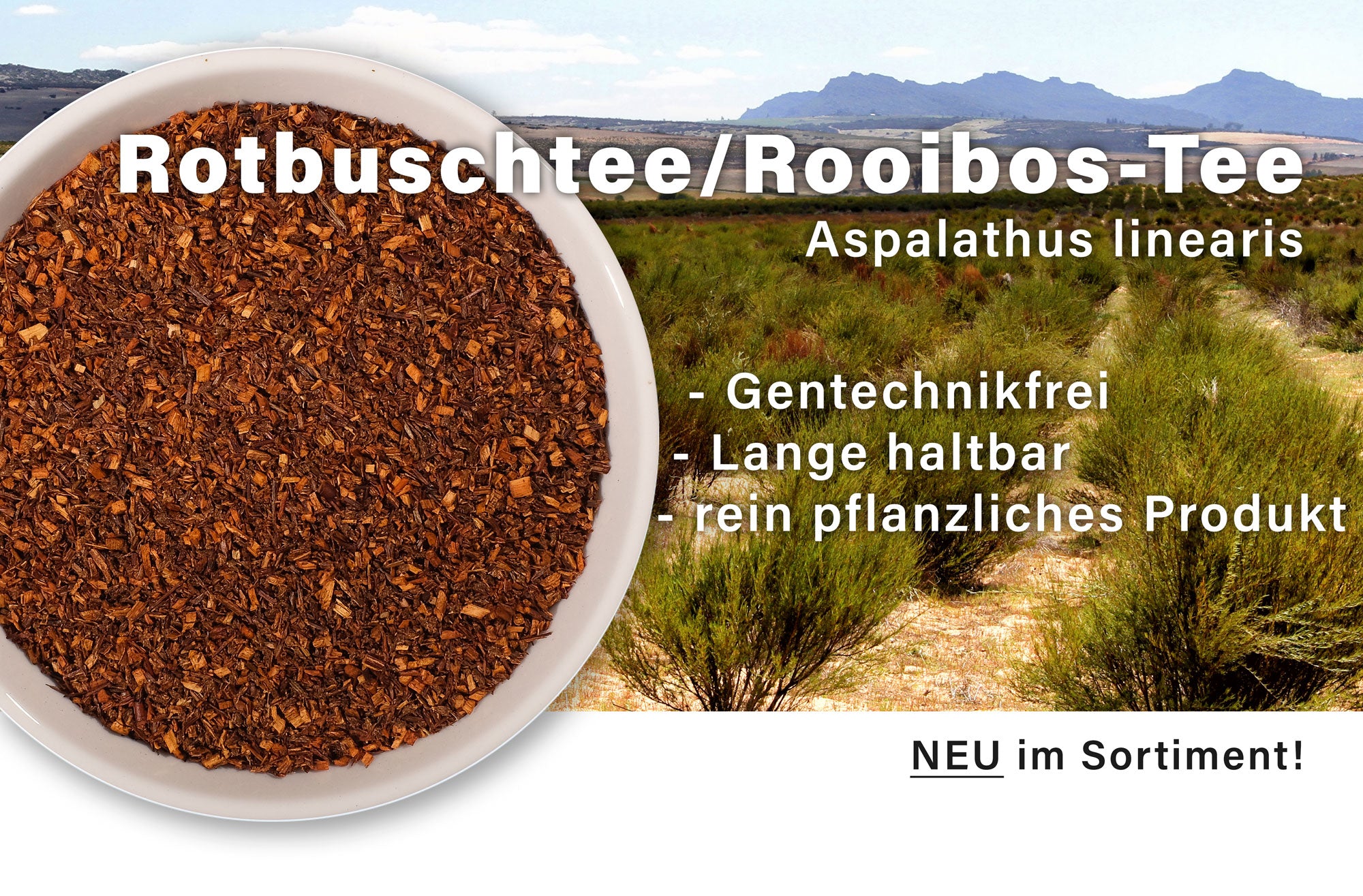 Tee der Woche: Rotbuschtee / Rooibos-Tee