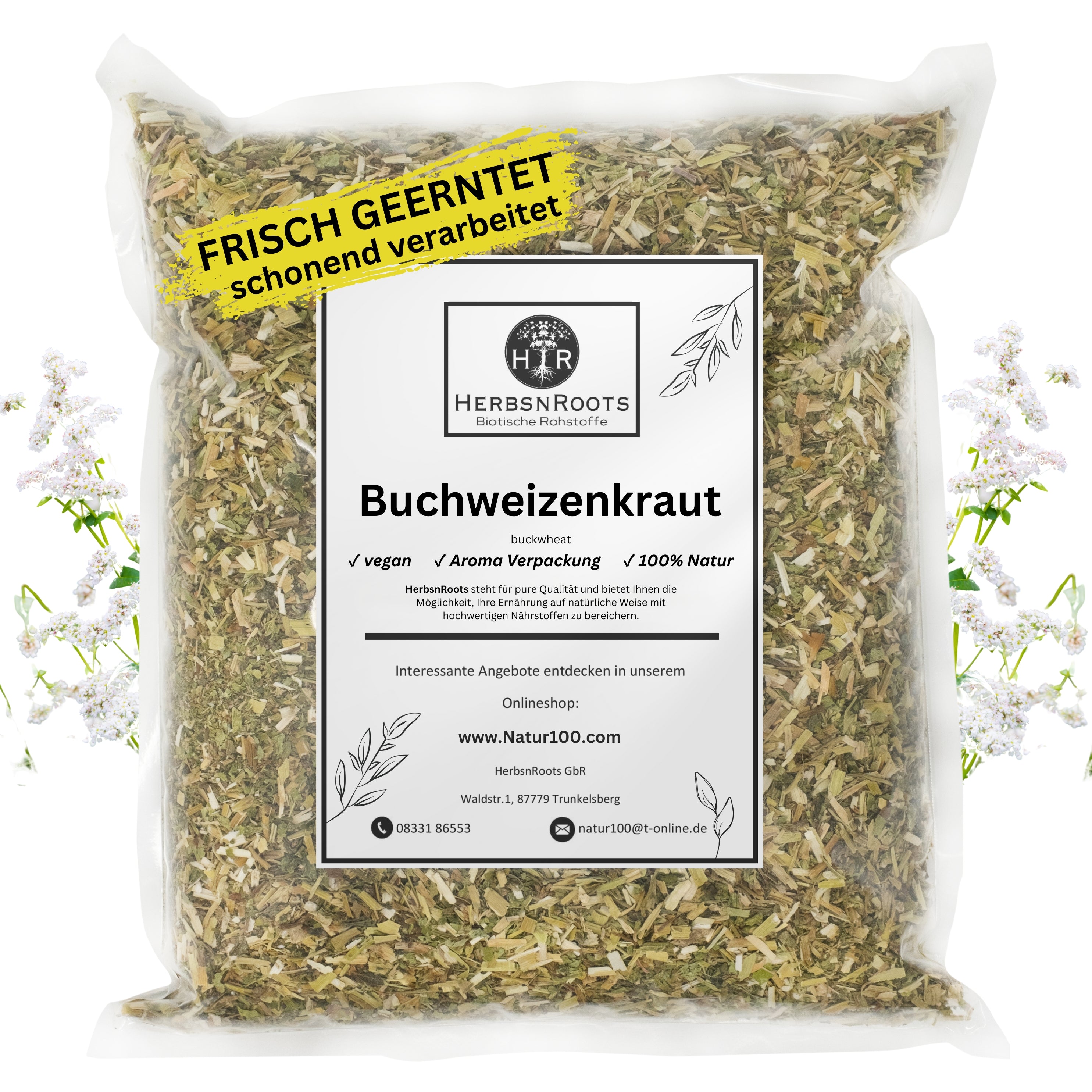 Buchweizenkraut