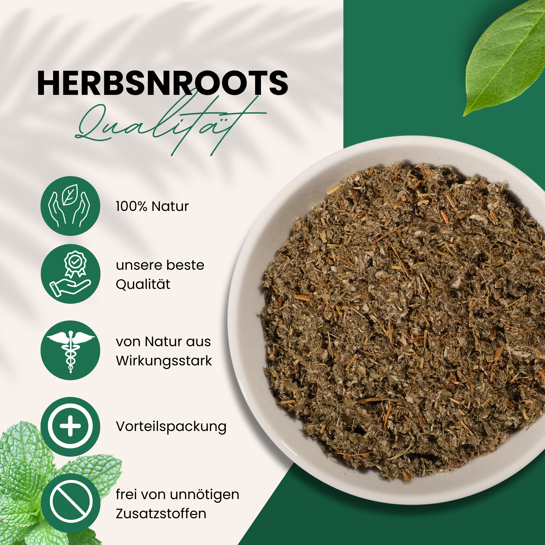 Gänsefingerkraut/ Krampfkraut