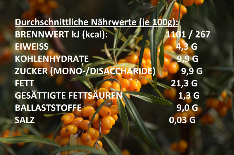 Sanddornbeeren