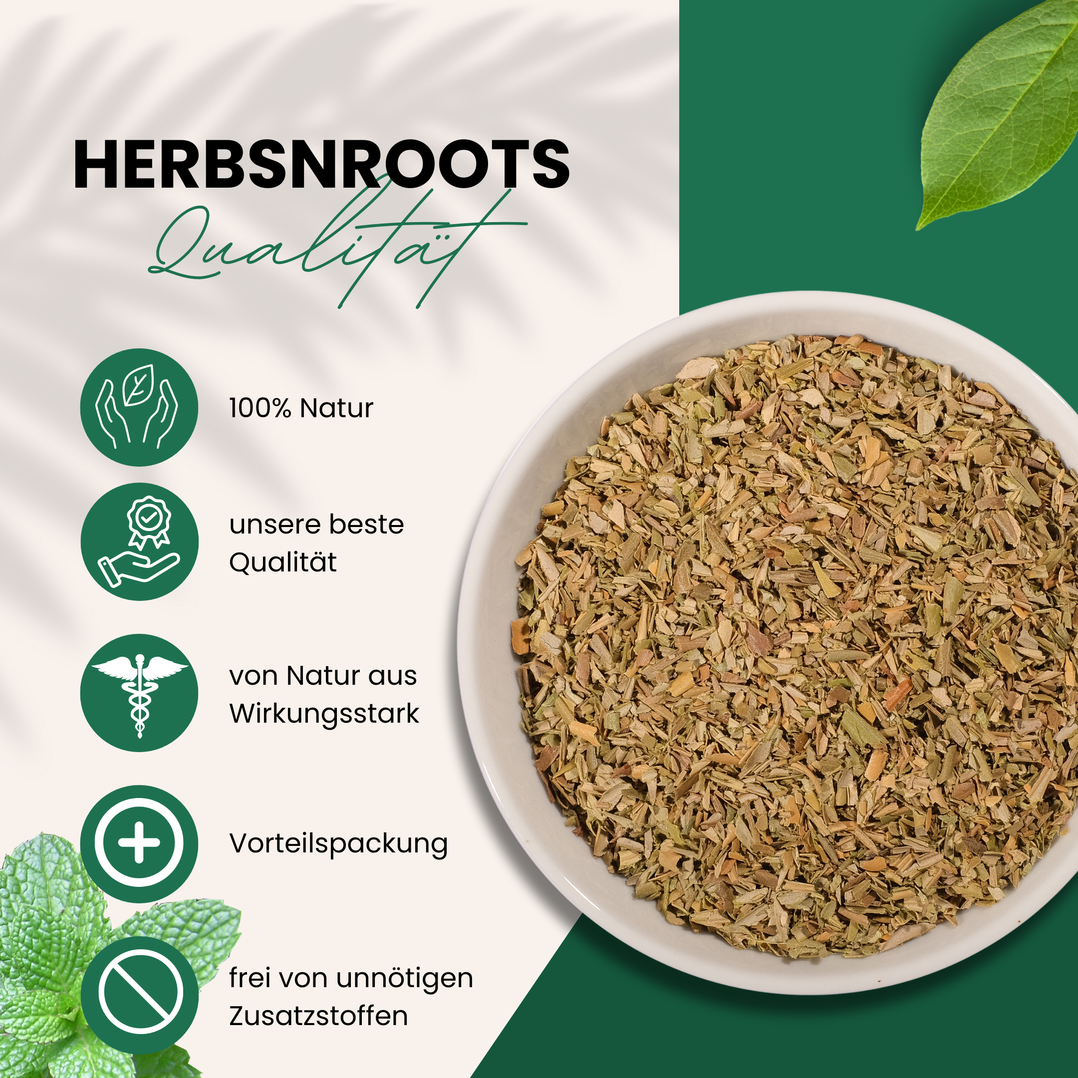 Olivenblätter "Energie und Lebenskraft"