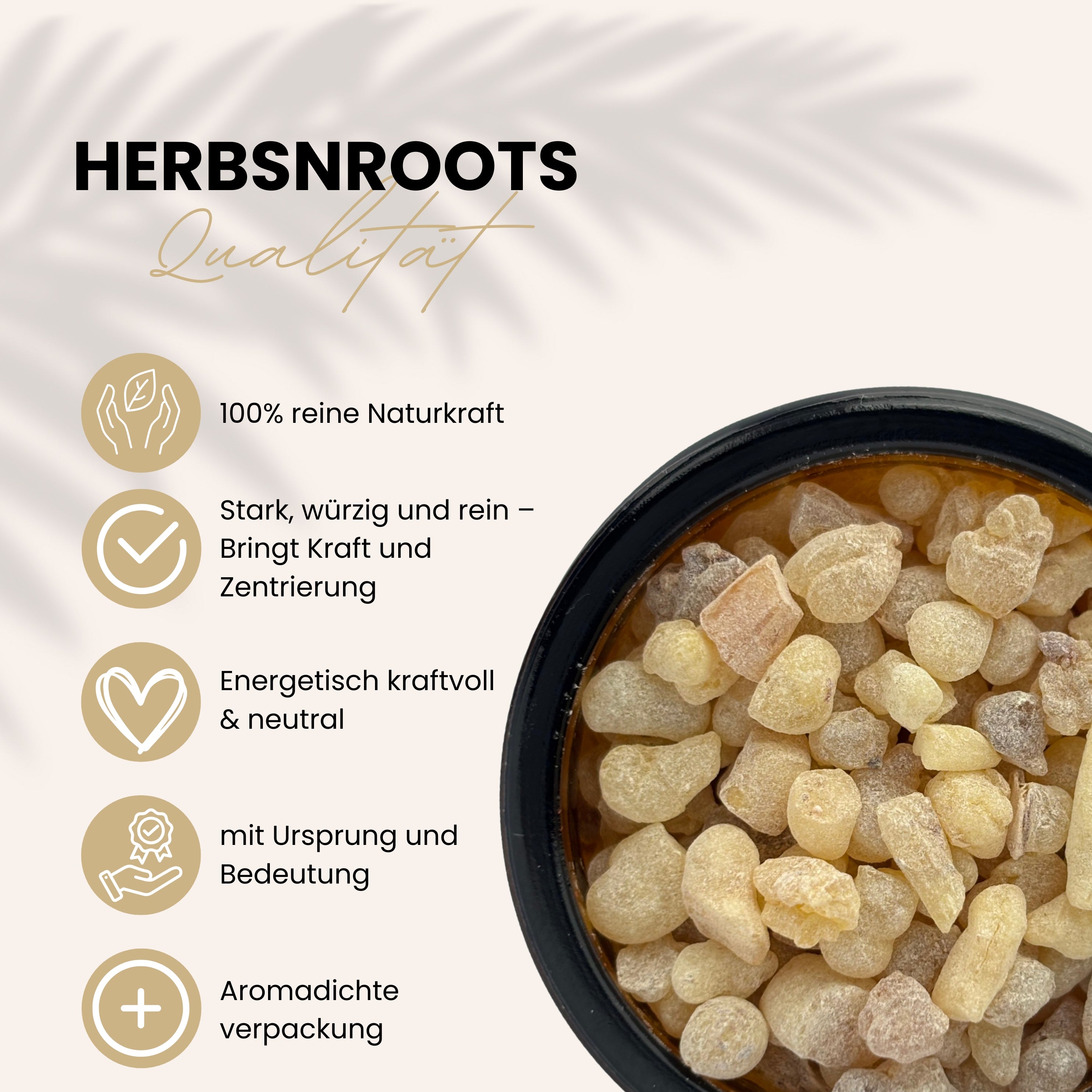 Weihrauch König Afrikas