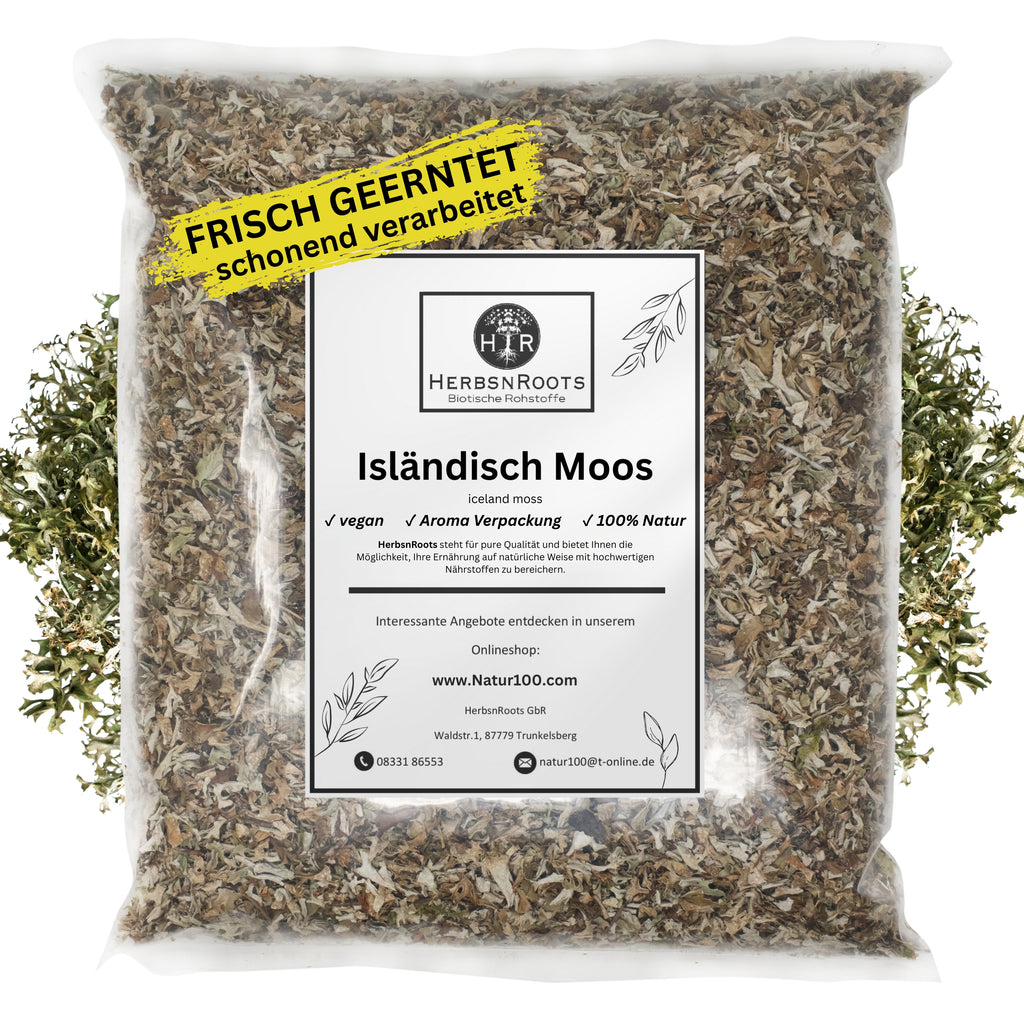 Moos Basildon Isländisches Moos jetzt einfach bestellen bei HerbsnRoots