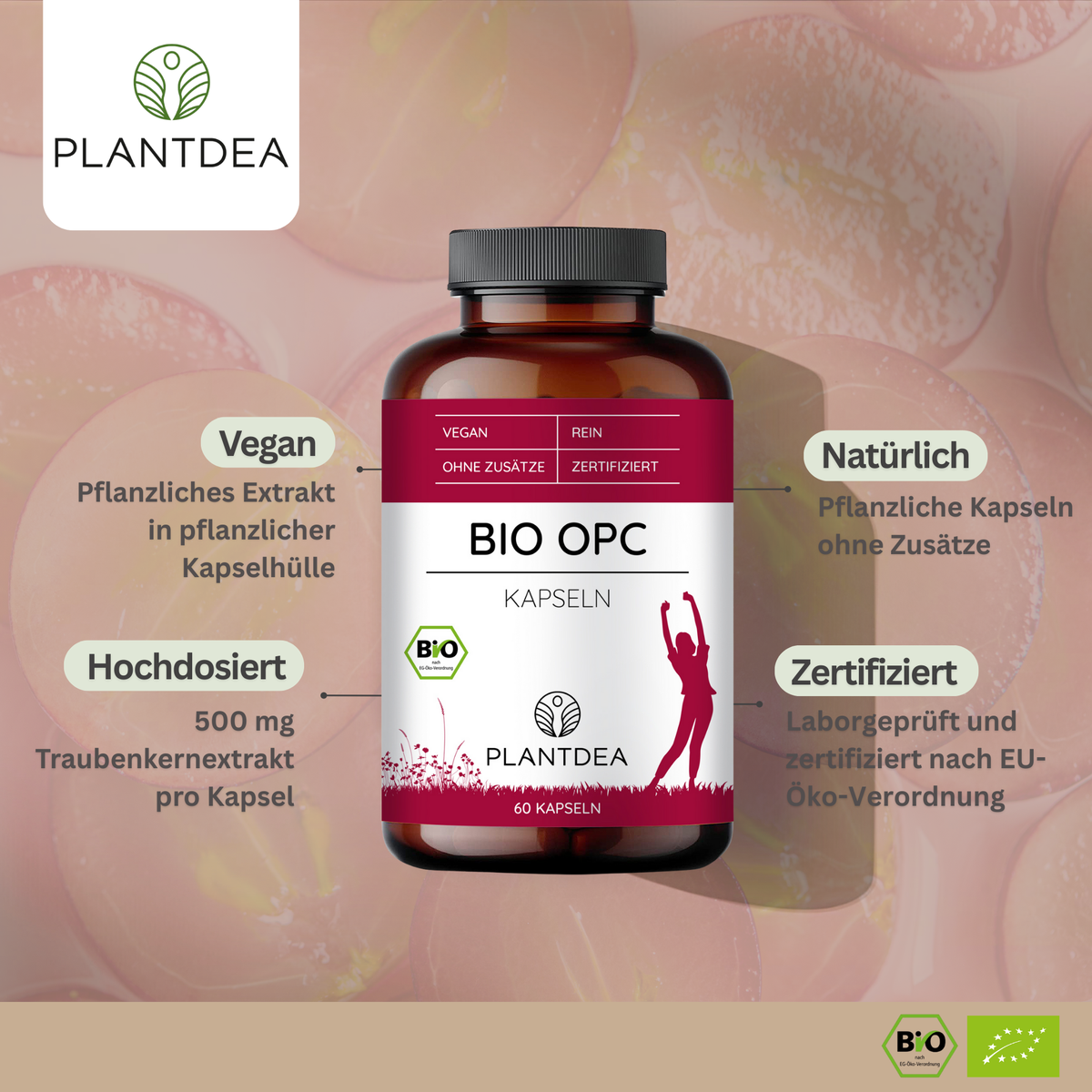 Bild Bio Check Bio OPC Kapseln